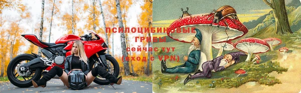стафф Алексеевка