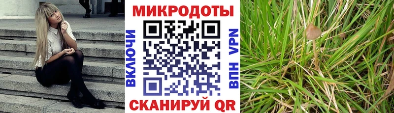 blacksprut как войти  купить  сайты  Курск  Галлюциногенные грибы Psilocybine cubensis 